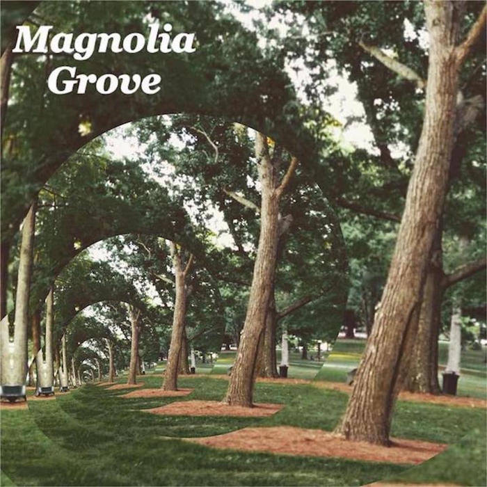 Psychedelic rock band Magnolia Grove’s sound is ever-changing, story is bigger than music