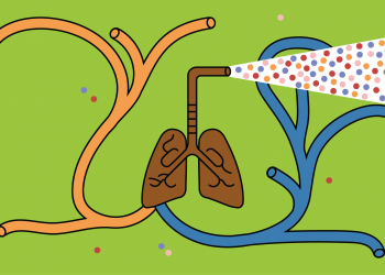 State of Emergency set to expire as COVID-19 cases continue to slow