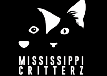 City creates committee to examine relationship with animal shelter