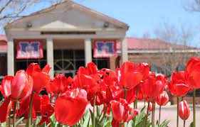 Alumni Association hosts discussion on social media impact