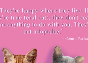 UM cats purr for FURR