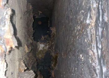 Students complain that air quality problems persist in UM dormitories