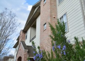 Lavender LLC debuts this fall