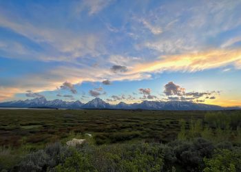 Road tripping in Grand Tetons, Yellowstone