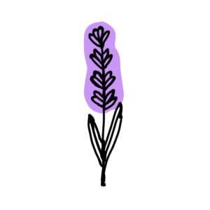 a graphic drawing of a lavender flower