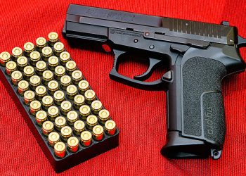 The relationship between guns and domestic violence