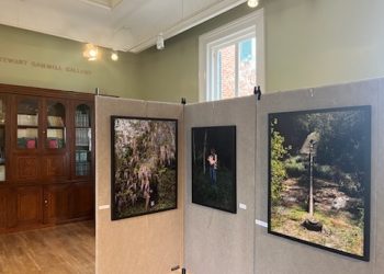 Contemplating climate change: SouthTalks highlights the work of ‘climate dread’ photographer Allison Grant