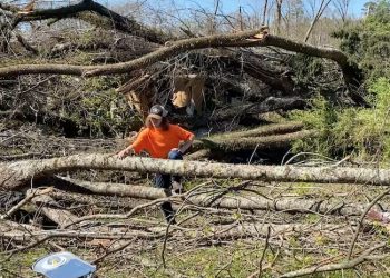 Tornado destroys more than buildings in Black Hawk