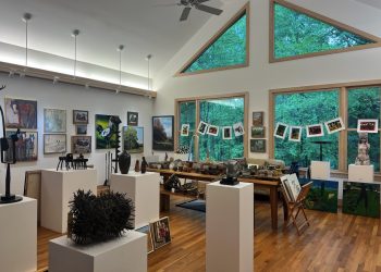 Art and nature meet at Oxford Treehouse Gallery
