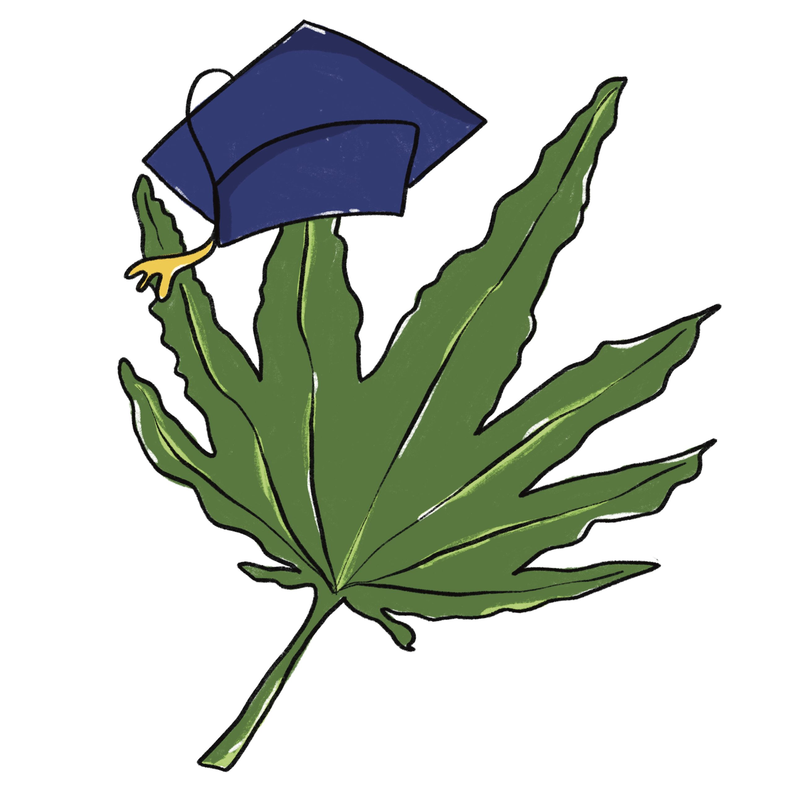 Graphic: Sedley Normand / The Daily Mississippian