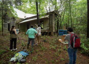 Greenfield Farm to revitalize Southern storytelling