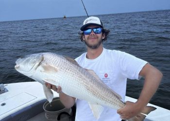 Ole Miss students make the most of summer jobs
