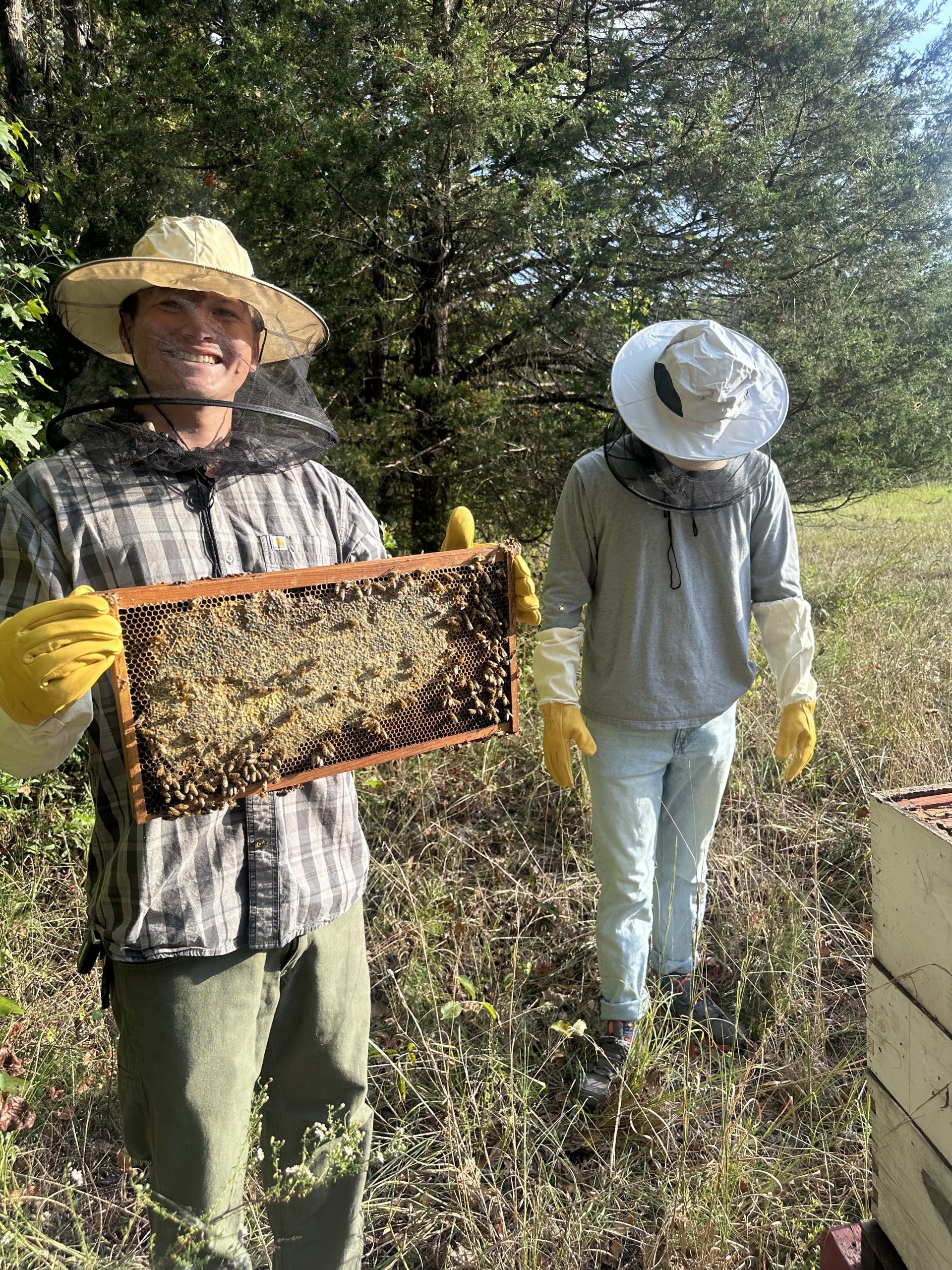 Quinn Mäensivu rejuvenates the art of beekeeping - The Daily