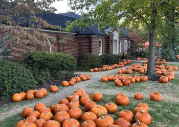 Historic St. Peter’s Pumpkin Patch sparks fall spirit  