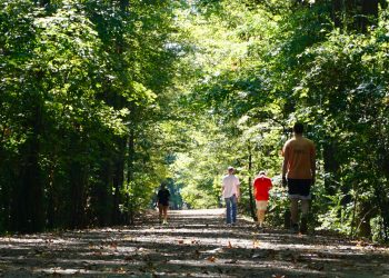 Where to get the best views of Lafayette County’s fall foliage