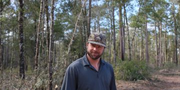 Balancing economic growth and the environment in Mississippi’s logging industry