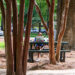 Students turn over a new leaf for spring semester with resolutions