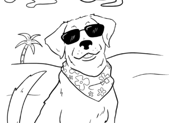 Opinion: How to avoid summertime sadness