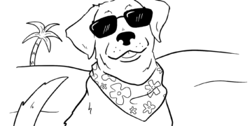 Opinion: How to avoid summertime sadness