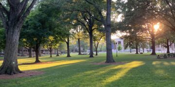 Grove trees cared for by the Department of Landscaping Services. Photo courtesy: Jillian Russell