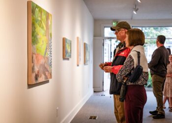 ‘Peculiar Landscapes’ collection showcases Southern scenes