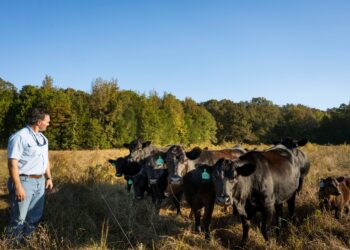 Proposed rezoning for asphalt plant near Taylor sparks resistance, developer addresses community concerns