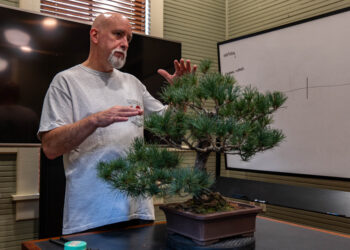 Bonsai experts share insights at Magnolia State Bonsai Club showcase