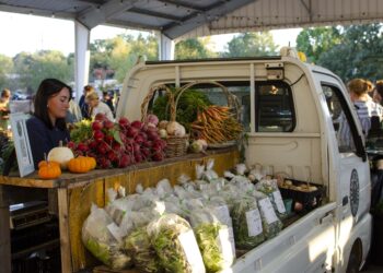 Pause in SNAP benefits affects Mississippians