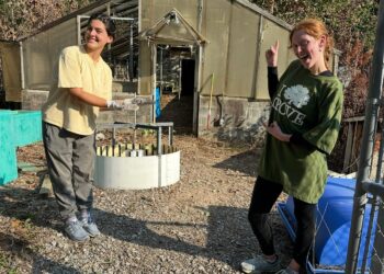 What is the Office of Sustainability up to?