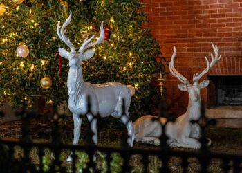 Oxford’s Christmas Parade marches joy to the Square