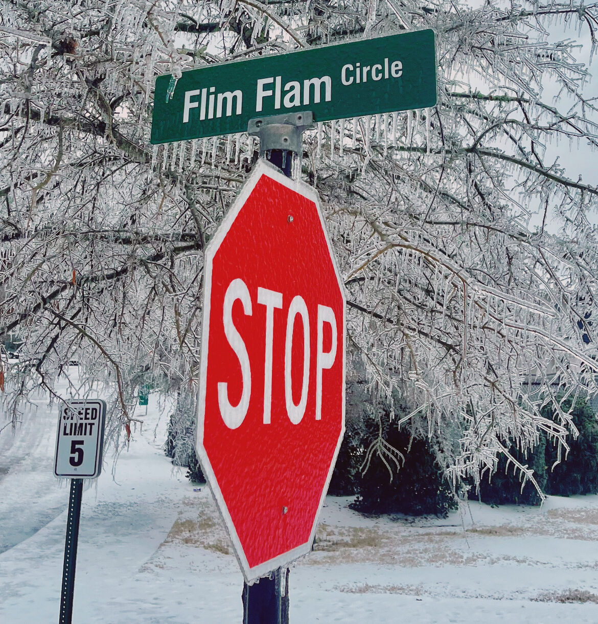 Processed with VSCO with au5 preset