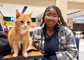 Friends, felines and food: Community cracks the campus cold