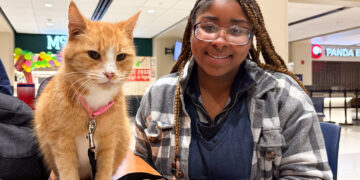 Friends, felines and food: Community cracks the campus cold