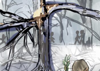 Branches of memory: mourning the trees that connect Ole Miss