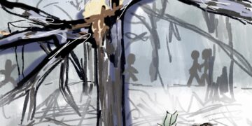 Branches of memory: mourning the trees that connect Ole Miss