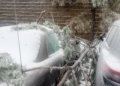 Students grapple with the effects of Winter Storm Fern
