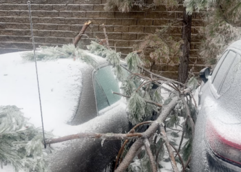 Students grapple with the effects of Winter Storm Fern