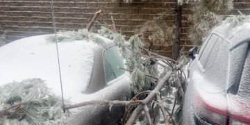Students grapple with the effects of Winter Storm Fern