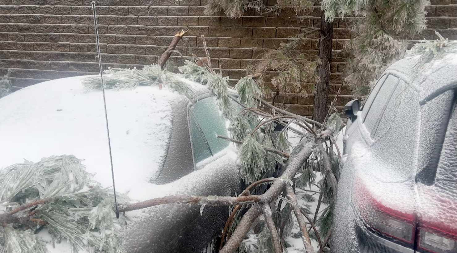 Students Grapple With The Effects Of Winter Storm Fern
