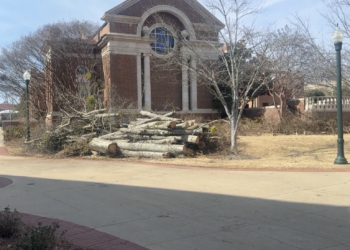 What does the future hold for campus’ trees and foliage following the ice storm?