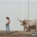 Kacey Musgraves searches for a new sound in ‘Middle of Nowhere’