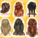 New hair is in the air: why you should try a new look for the start of the semester