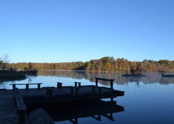 Holly Springs National Forest offers outdoor adventure despite storm damage